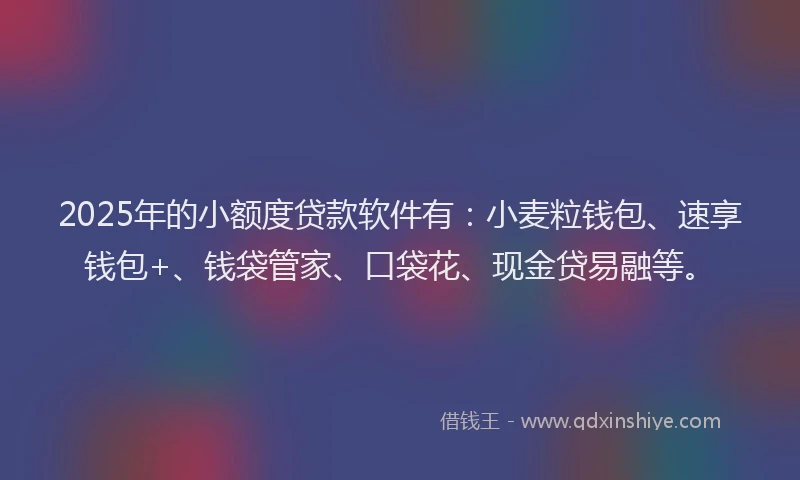 2025年的小额度贷款软件有：小麦粒钱包、速享钱包+、钱袋管家、口袋花、现金贷易融等。