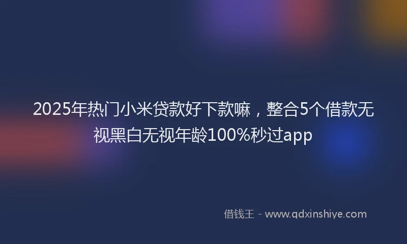 2025年热门小米贷款好下款嘛，整合5个借款无视黑白无视年龄100%秒过app