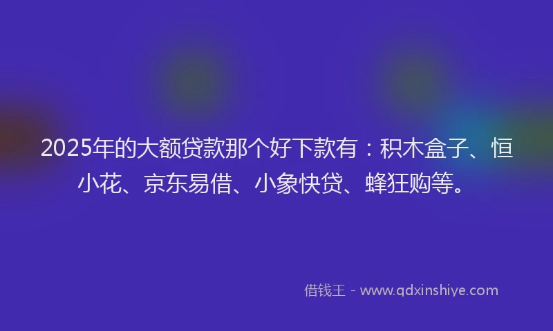 2025年的大额贷款那个好下款有：积木盒子、恒小花、京东易借、小象快贷、蜂狂购等。