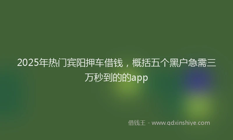 2025年热门宾阳押车借钱,概括五个黑户急需三万秒到的的app