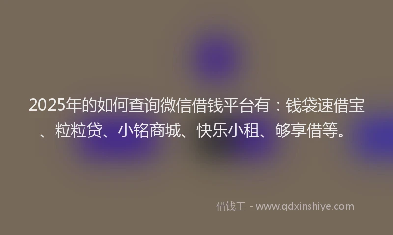 2025年的如何查询微信借钱平台有：钱袋速借宝、粒粒贷、小铭商城、快乐小租、够享借等。