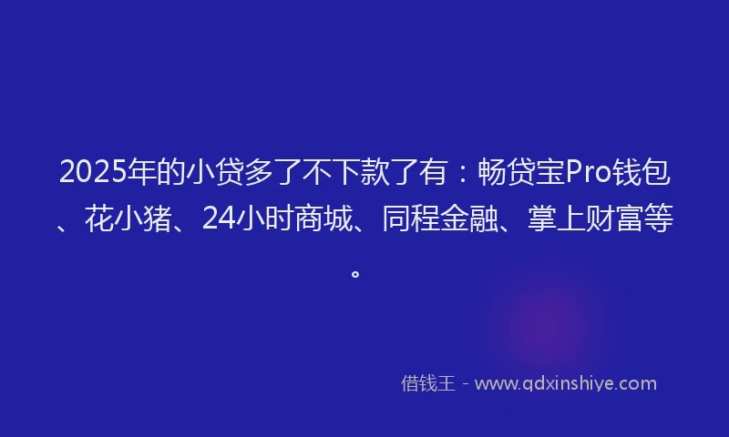 2025年的小贷多了不下款了有：畅贷宝Pro钱包、花小猪、24小时商城、同程金融、掌上财富等。
