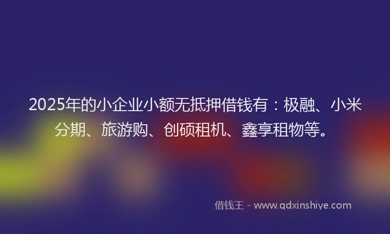 2025年的小企业小额无抵押借钱有：极融、小米分期、旅游购、创硕租机、鑫享租物等。