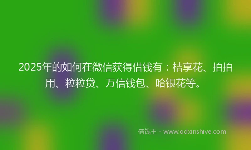 2025年的如何在微信获得借钱有：桔享花、拍拍用、粒粒贷、万信钱包、哈银花等。