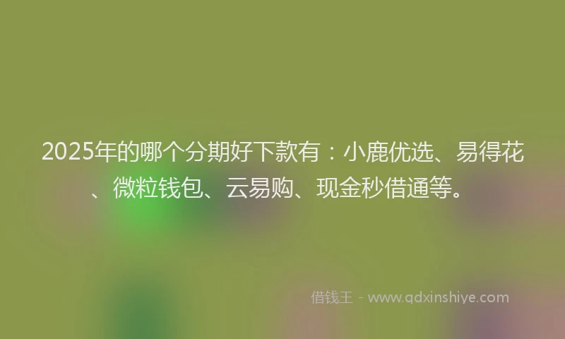 2025年的哪个分期好下款有：小鹿优选、易得花、微粒钱包、云易购、现金秒借通等。