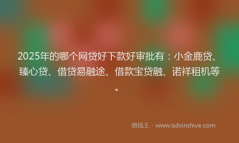 2025年的哪个网贷好下款好审批有：小金鹿贷、臻心贷、借贷易融途、借款宝贷融、诺祥租机等。