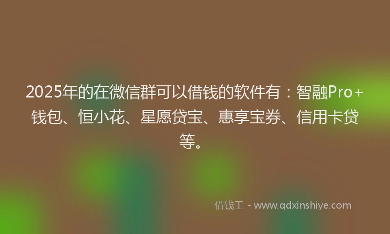 2025年的在微信群可以借钱的软件有：智融Pro+钱包、恒小花、星愿贷宝、惠享宝券、信用卡贷等。