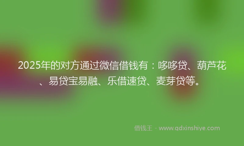 2025年的对方通过微信借钱有：哆哆贷、葫芦花、易贷宝易融、乐借速贷、麦芽贷等。