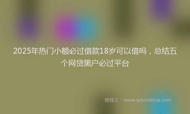 2025年热门小额必过借款18岁可以借吗，总结五个网贷黑户必过平台