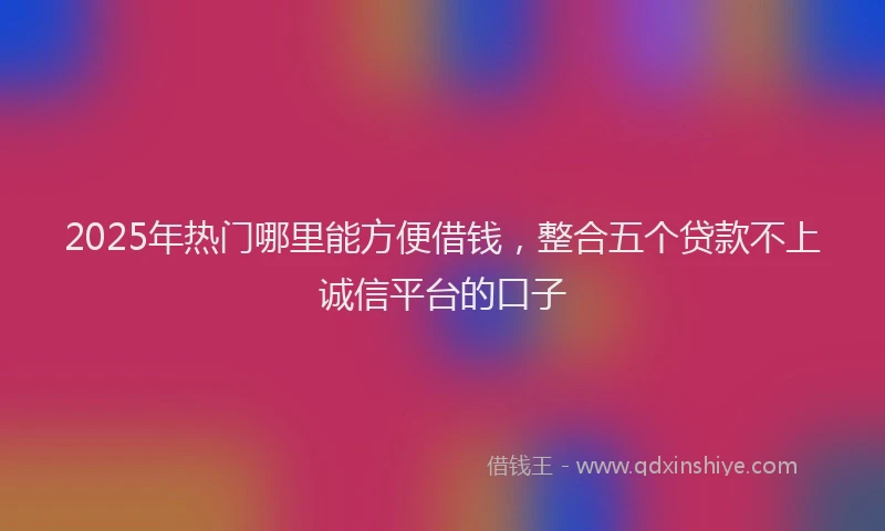2025年热门哪里能方便借钱，整合五个贷款不上诚信平台的口子