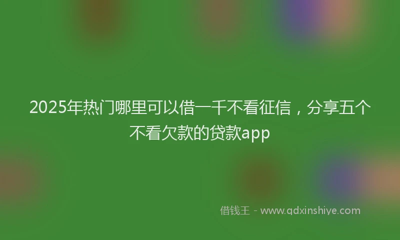 2025年热门哪里可以借一千不看征信，分享五个不看欠款的贷款app