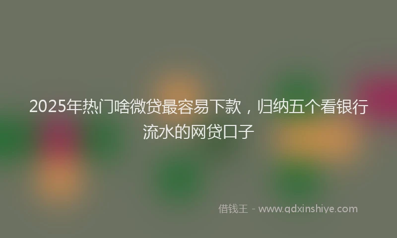 2025年热门啥微贷最容易下款，归纳五个看银行流水的网贷口子
