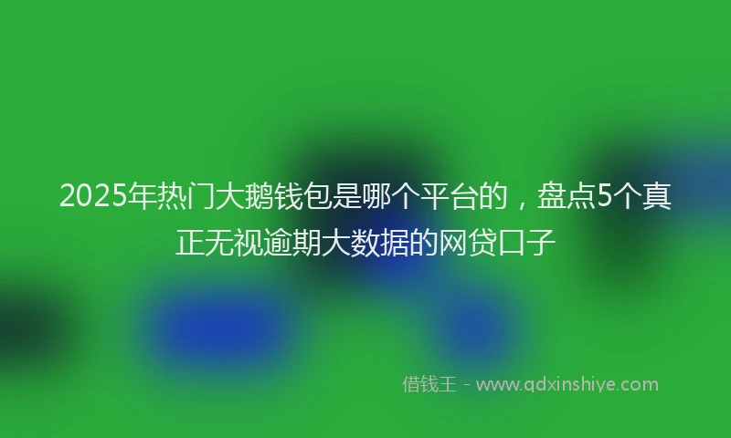 2025年热门大鹅钱包是哪个平台的，盘点5个真正无视逾期大数据的网贷口子