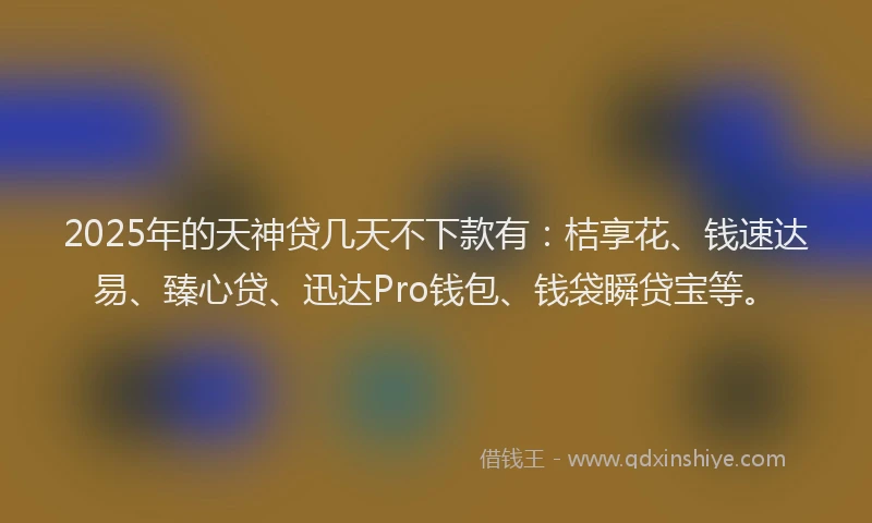 2025年的天神贷几天不下款有：桔享花、钱速达易、臻心贷、迅达Pro钱包、钱袋瞬贷宝等。