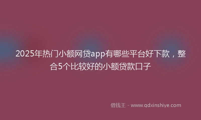 2025年热门小额网贷app有哪些平台好下款，整合5个比较好的小额贷款口子