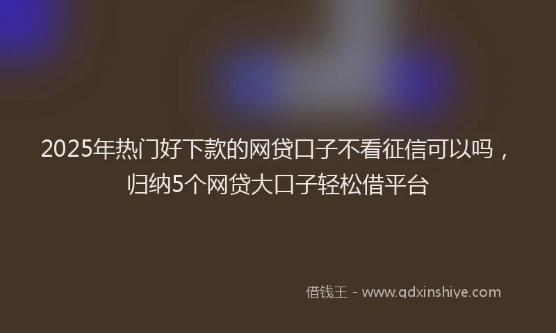 2025年热门好下款的网贷口子不看征信可以吗，归纳5个网贷大口子轻松借平台