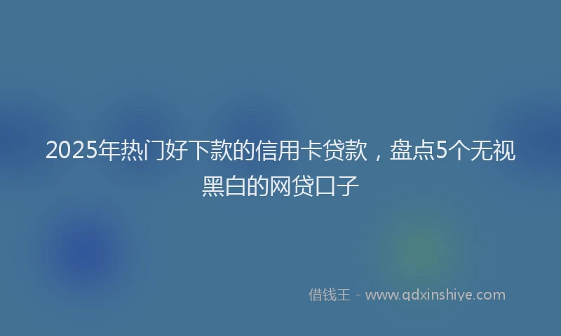 2025年热门好下款的信用卡贷款，盘点5个无视黑白的网贷口子