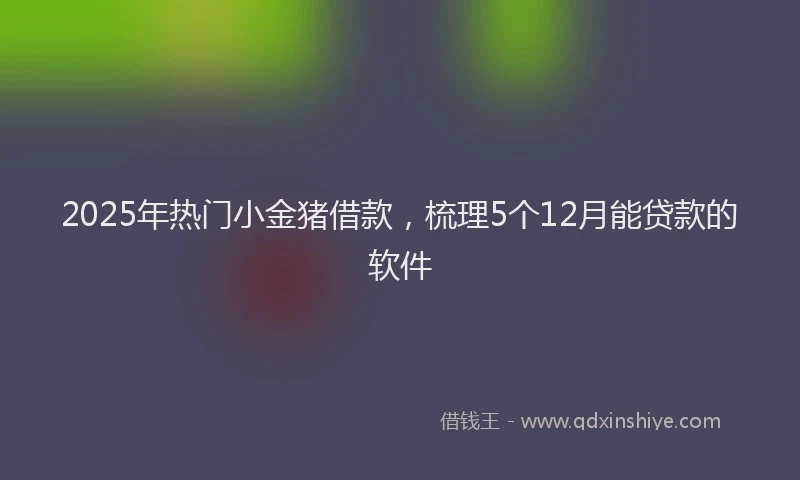 2025年热门小金猪借款，梳理5个12月能贷款的软件