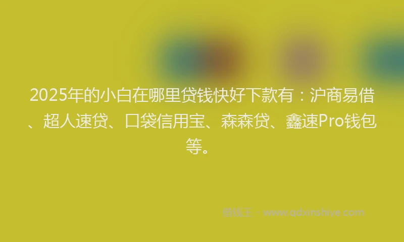 2025年的小白在哪里贷钱快好下款有:沪商易借、超人速贷、口袋信用宝、森森贷、鑫速Pro钱包等。