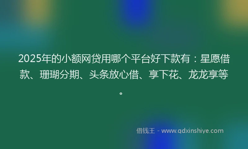 2025年的小额网贷用哪个平台好下款有：星愿借款、珊瑚分期、头条放心借、享下花、龙龙享等。