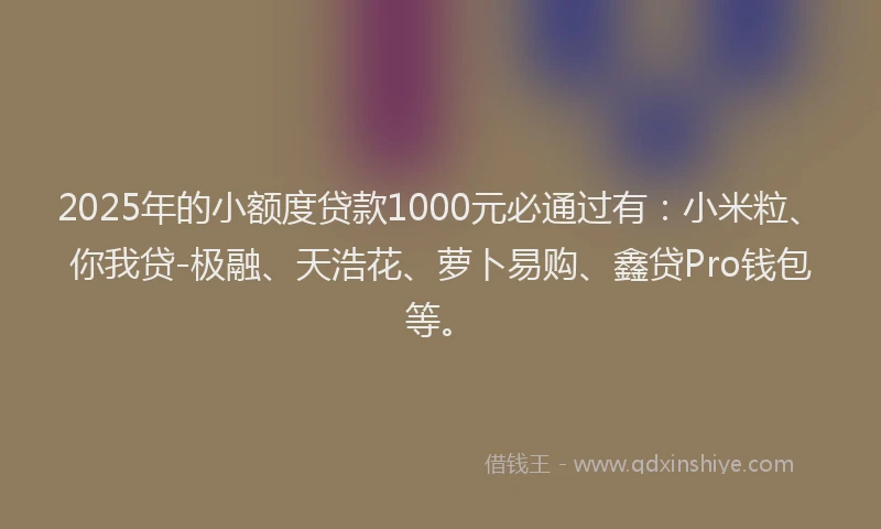 2025年的小额度贷款1000元必通过有：小米粒、你我贷-极融、天浩花、萝卜易购、鑫贷Pro钱包等。