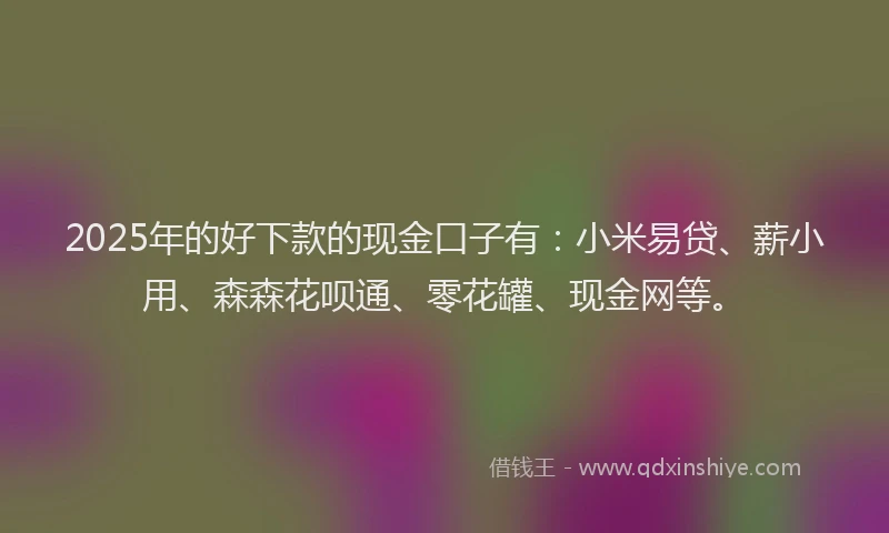 2025年的好下款的现金口子有：小米易贷、薪小用、森森花呗通、零花罐、现金网等。