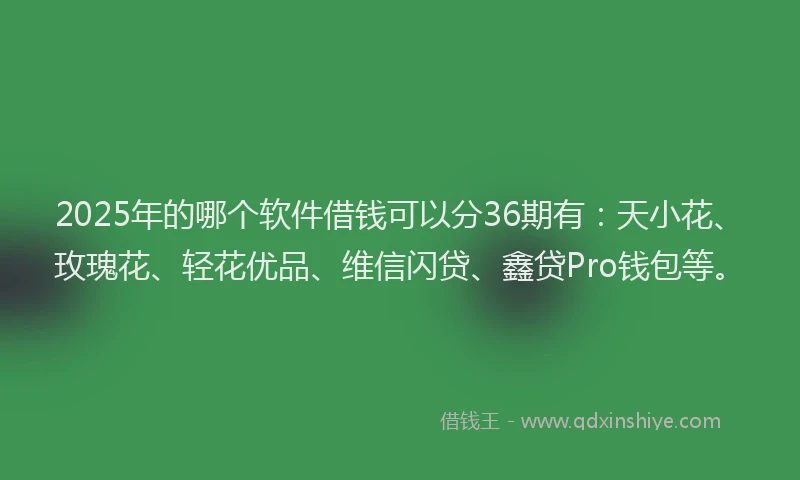 2025年的哪个软件借钱可以分36期有：天小花、玫瑰花、轻花优品、维信闪贷、鑫贷Pro钱包等。