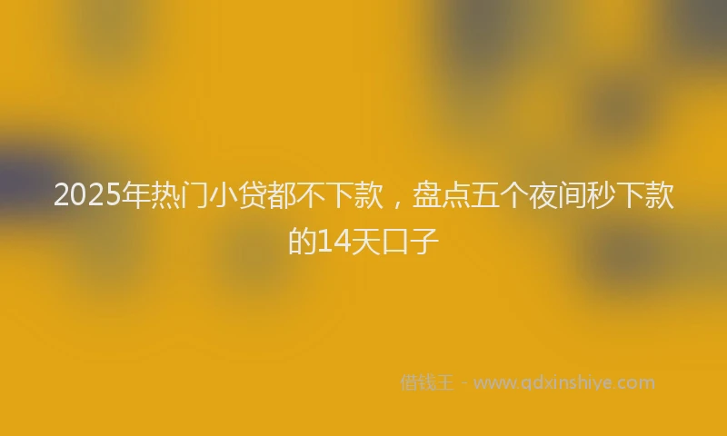 2025年热门小贷都不下款，盘点五个夜间秒下款的14天口子
