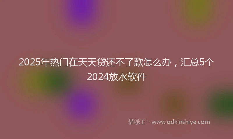 2025年热门在天天贷还不了款怎么办，汇总5个2024放水软件