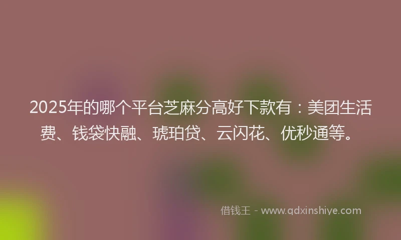 2025年的哪个平台芝麻分高好下款有：美团生活费、钱袋快融、琥珀贷、云闪花、优秒通等。