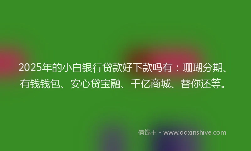 2025年的小白银行贷款好下款吗有：珊瑚分期、有钱钱包、安心贷宝融、千亿商城、替你还等。