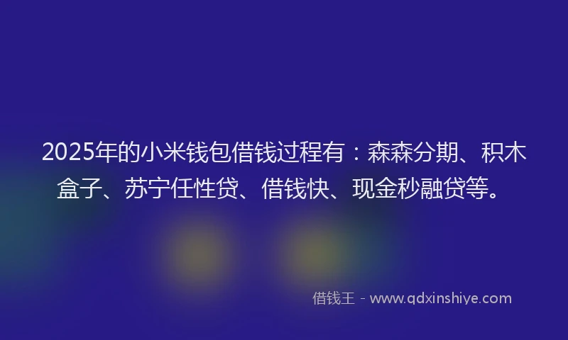 2025年的小米钱包借钱过程有：森森分期、积木盒子、苏宁任性贷、借钱快、现金秒融贷等。