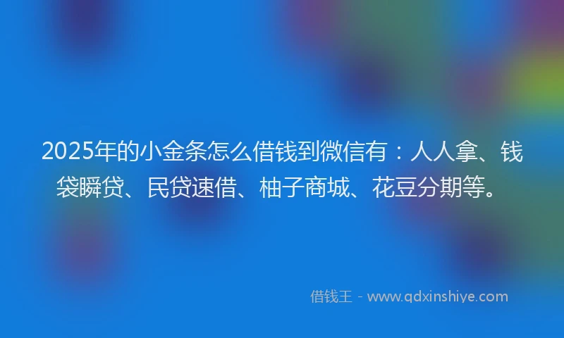 2025年的小金条怎么借钱到微信有:人人拿、钱袋瞬贷、民贷速借、柚子商城、花豆分期等。