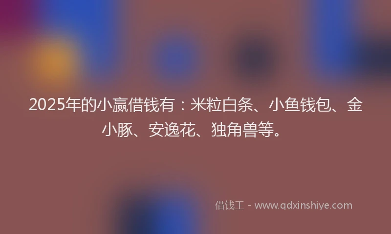 2025年的小赢借钱有：米粒白条、小鱼钱包、金小豚、安逸花、独角兽等。