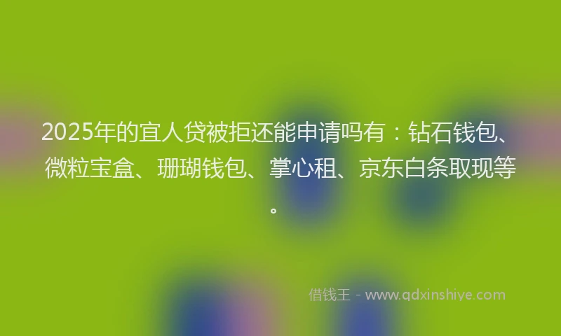 2025年的宜人贷被拒还能申请吗有：钻石钱包、微粒宝盒、珊瑚钱包、掌心租、京东白条取现等。