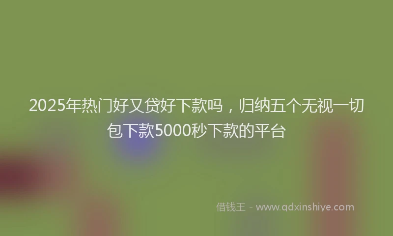 2025年热门好又贷好下款吗，归纳五个无视一切包下款5000秒下款的平台