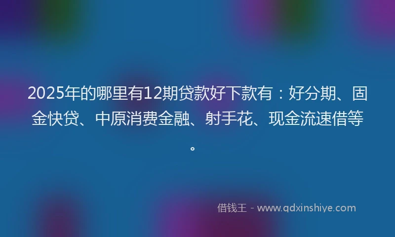 2025年的哪里有12期贷款好下款有：好分期、固金快贷、中原消费金融、射手花、现金流速借等。