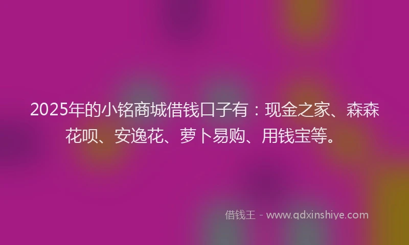 2025年的小铭商城借钱口子有：现金之家、森森花呗、安逸花、萝卜易购、用钱宝等。