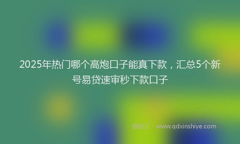 2025年热门哪个高炮口子能真下款，汇总5个新号易贷速审秒下款口子