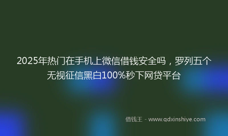 2025年热门在手机上微信借钱安全吗，罗列五个无视征信黑白100%秒下网贷平台