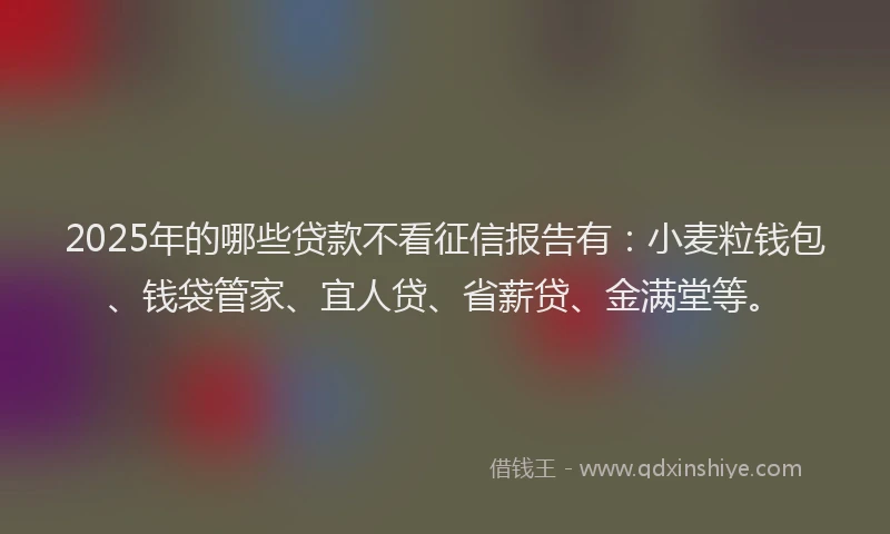 2025年的哪些贷款不看征信报告有：小麦粒钱包、钱袋管家、宜人贷、省薪贷、金满堂等。