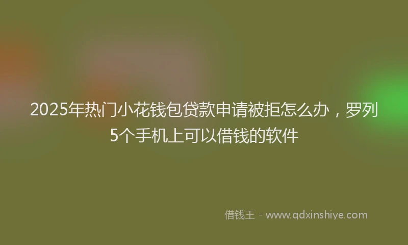 2025年热门小花钱包贷款申请被拒怎么办，罗列5个手机上可以借钱的软件
