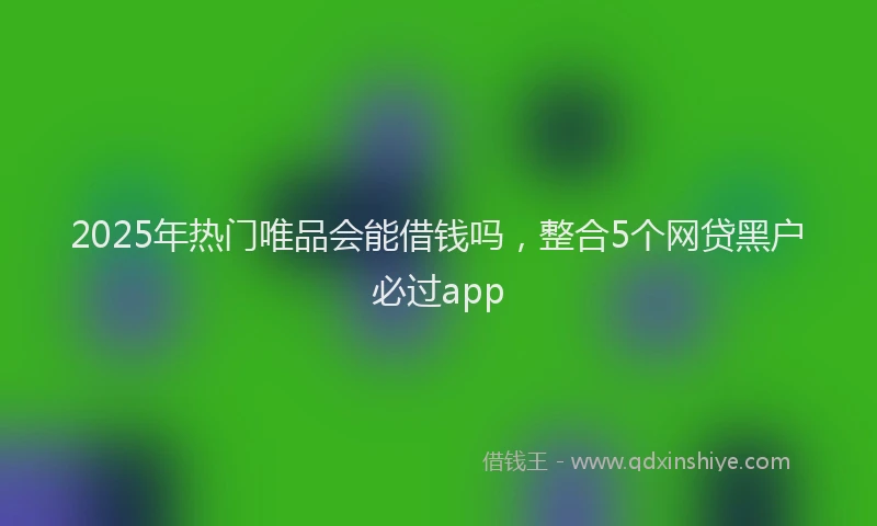 2025年热门唯品会能借钱吗，整合5个网贷黑户必过app