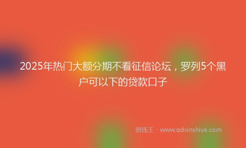 2025年热门大额分期不看征信论坛，罗列5个黑户可以下的贷款口子