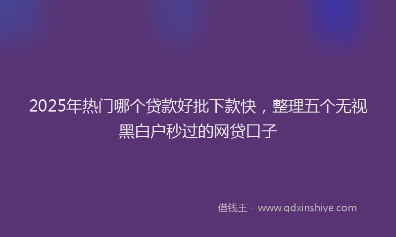 2025年热门哪个贷款好批下款快，整理五个无视黑白户秒过的网贷口子