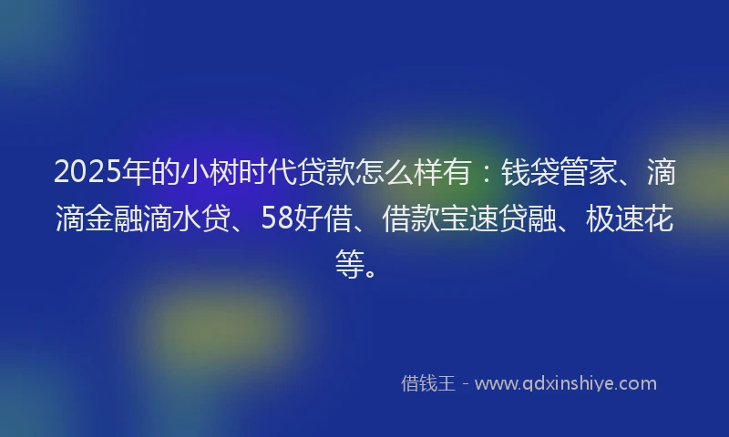 2025年的小树时代贷款怎么样有：钱袋管家、滴滴金融滴水贷、58好借、借款宝速贷融、极速花等。