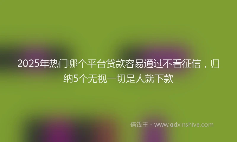 2025年热门哪个平台贷款容易通过不看征信，归纳5个无视一切是人就下款