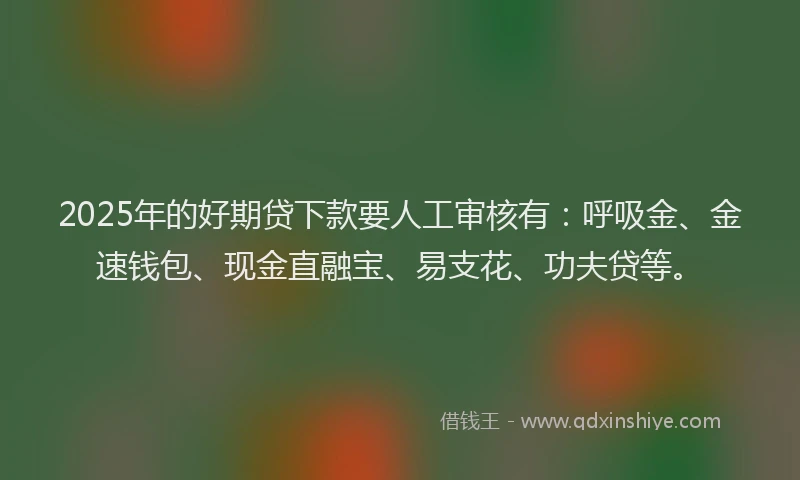2025年的好期贷下款要人工审核有:呼吸金、金速钱包、现金直融宝、易支花、功夫贷等。