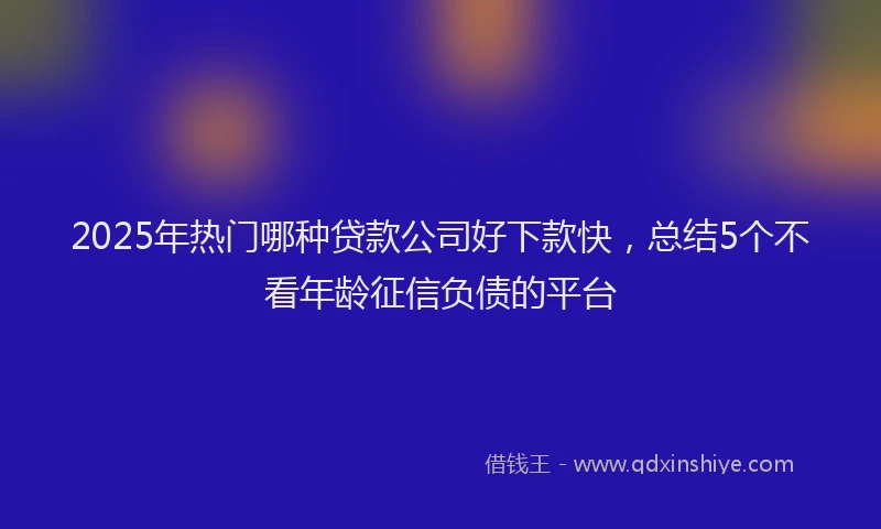 2025年热门哪种贷款公司好下款快，总结5个不看年龄征信负债的平台