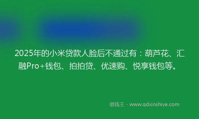 2025年的小米贷款人脸后不通过有：葫芦花、汇融Pro+钱包、拍拍贷、优速购、悦享钱包等。